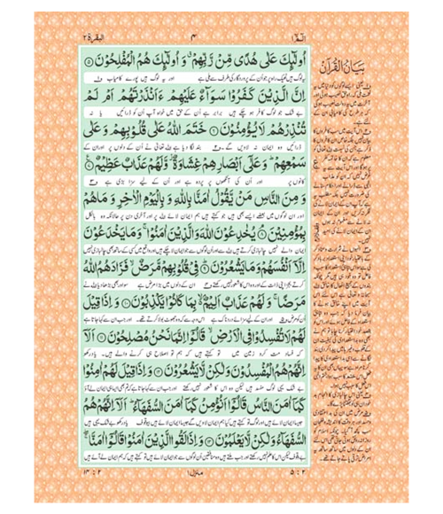 Al Quran Tafseer Bayan ul Quran Premium